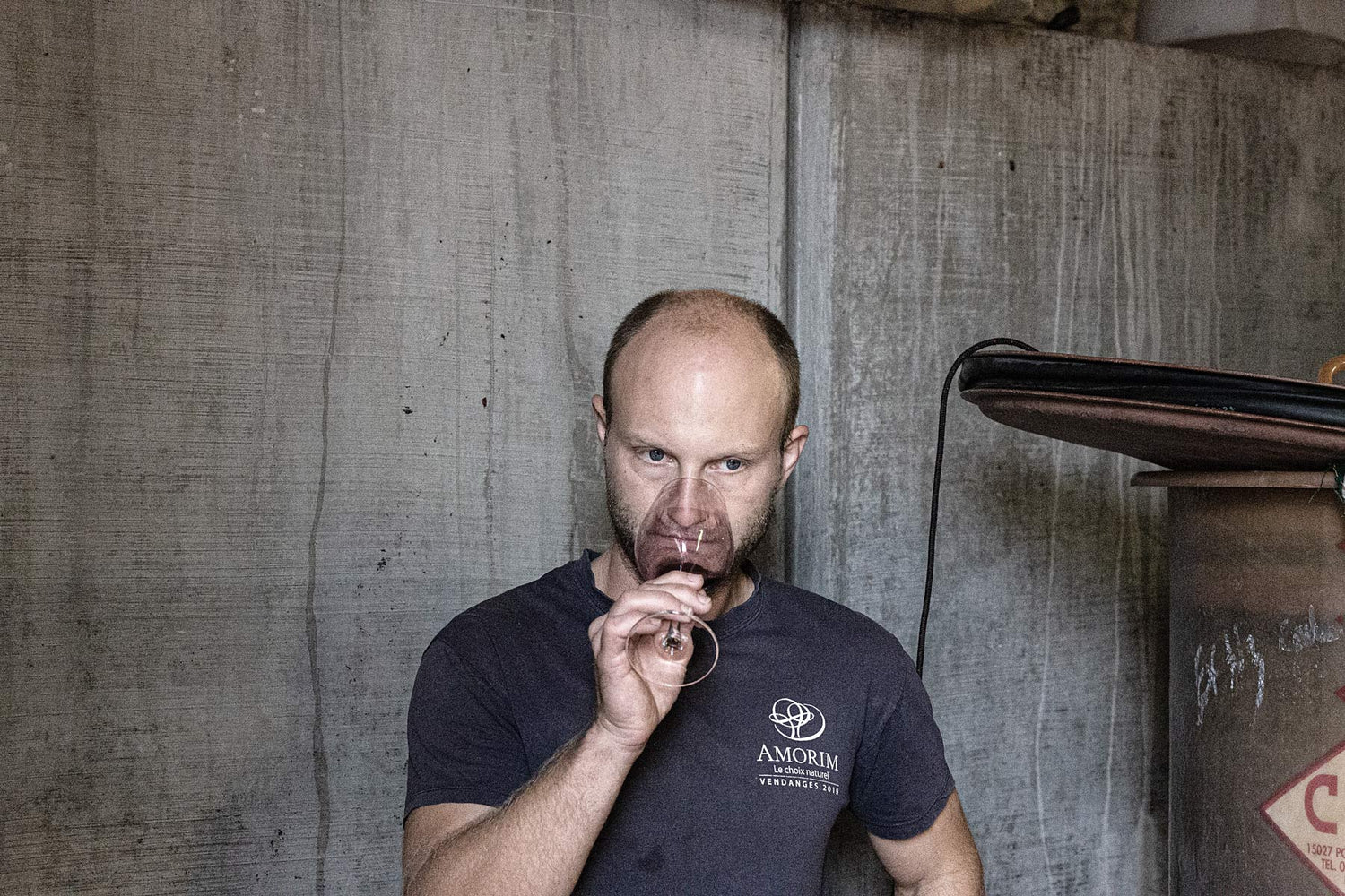 Anthocyane - die Farbe im Wein