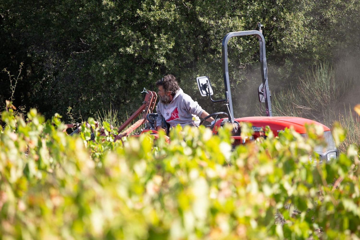 Terroir im Weinberg - die Rolle der Winzer