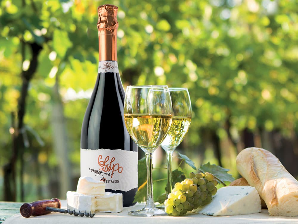 Wein und Essen: Wie Aromen harmonieren