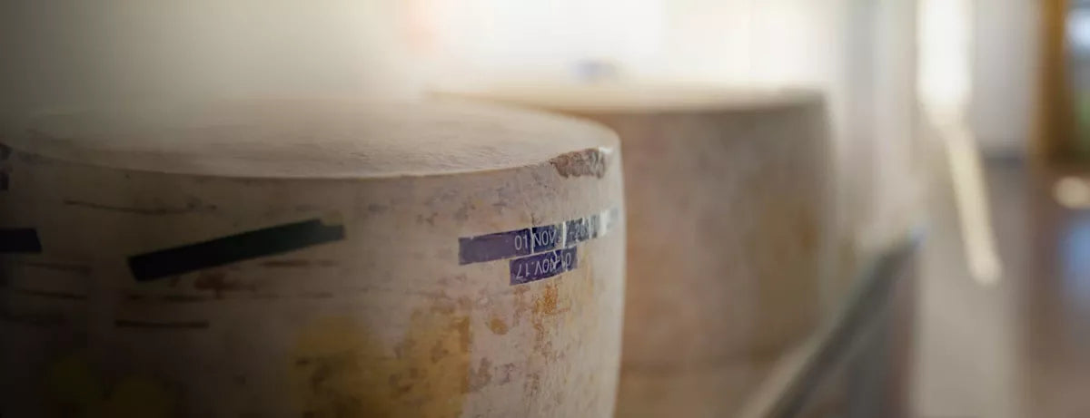 Pecorino Käse - die Varianten und der Wein