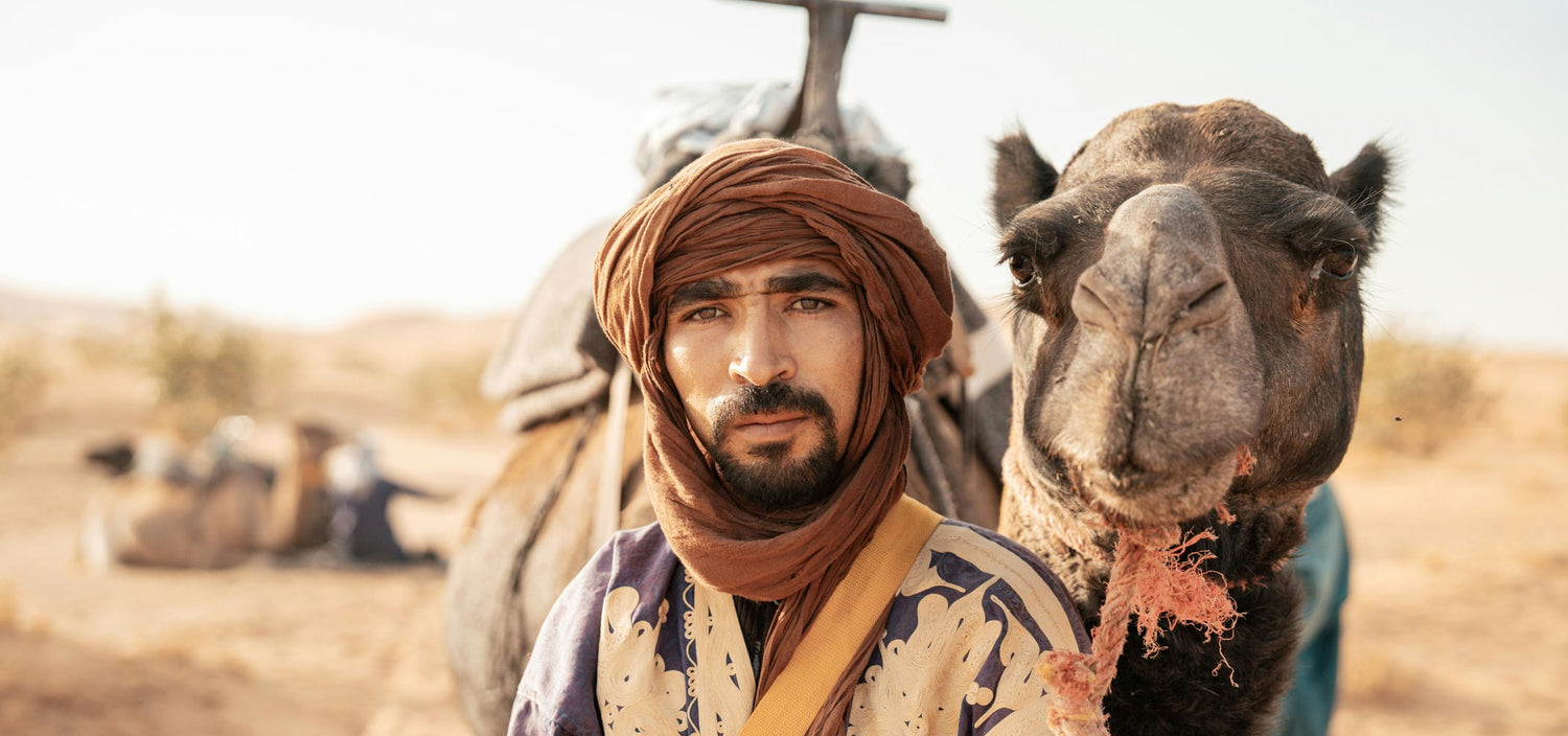 Weinbau im Roussillon unter arabischer Besatzung im 8. Jahrhundert