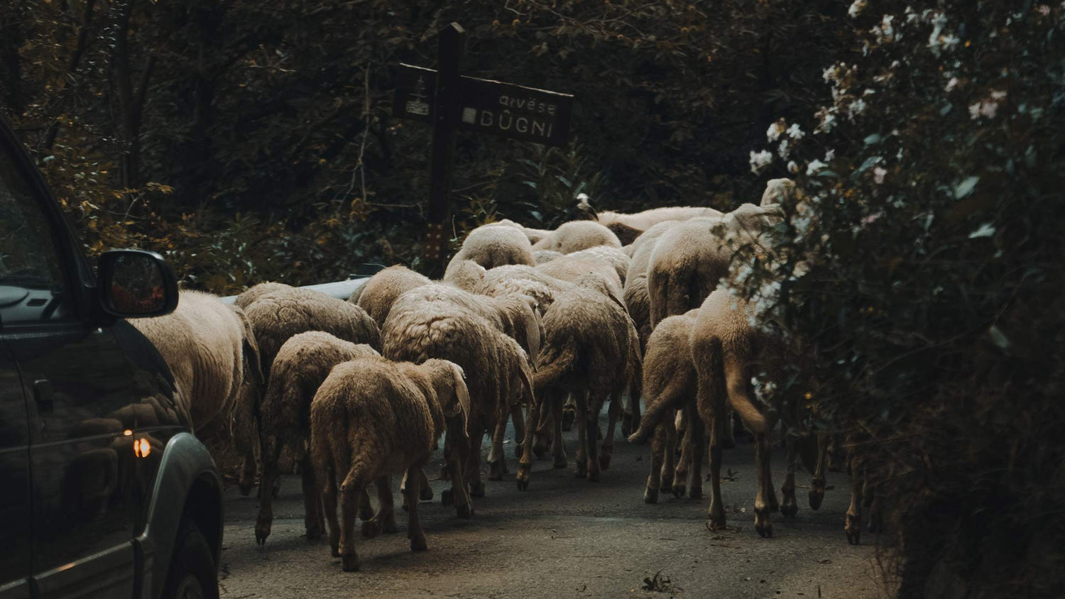 Die Besonderheit des Roero