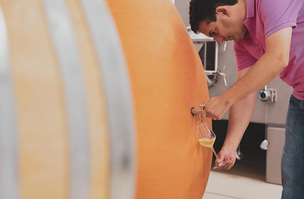 Die Bedeutung von «Cuvée» in verschiedenen Weinregionen