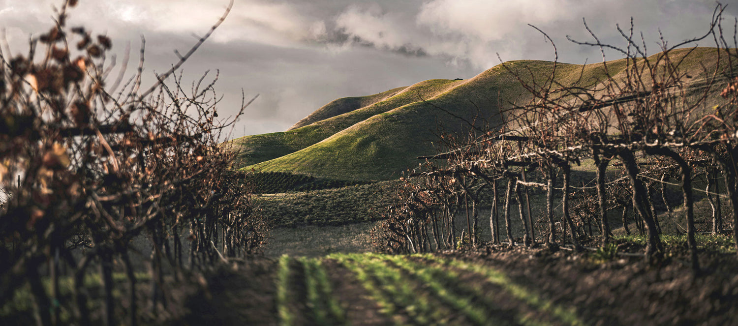 Wie das Handwerk ins Languedoc kam