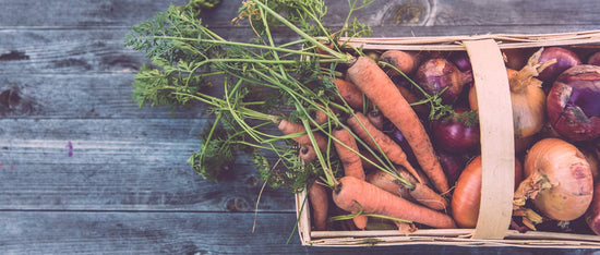 Vom Weinberg bis zum Ende der Gärung: