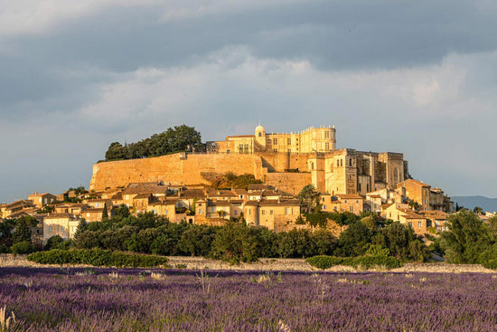 Rotwein Cuvées aus Frankreich