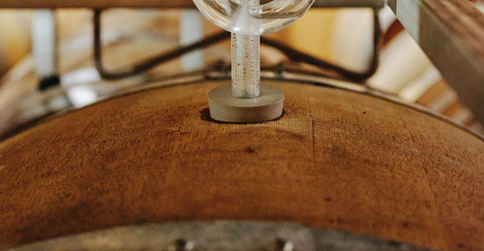 Weingut Les Éminades. Saint-Chinian.
