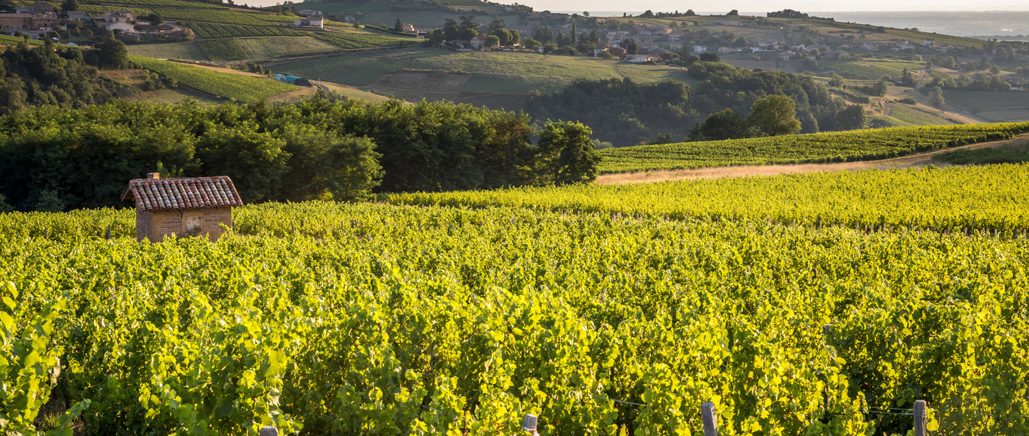 Der rosa und blaue Granit des Beaujolais
