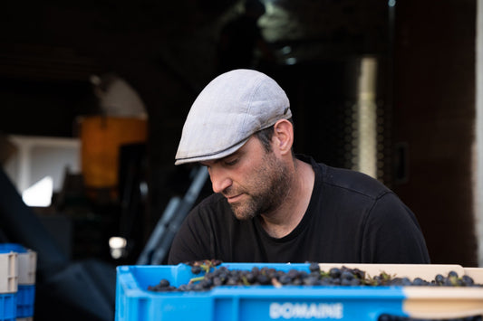 Frédéric Berne im Beaujolais