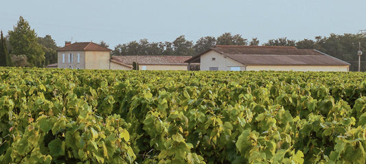 Château Les Clauzots (Graves)