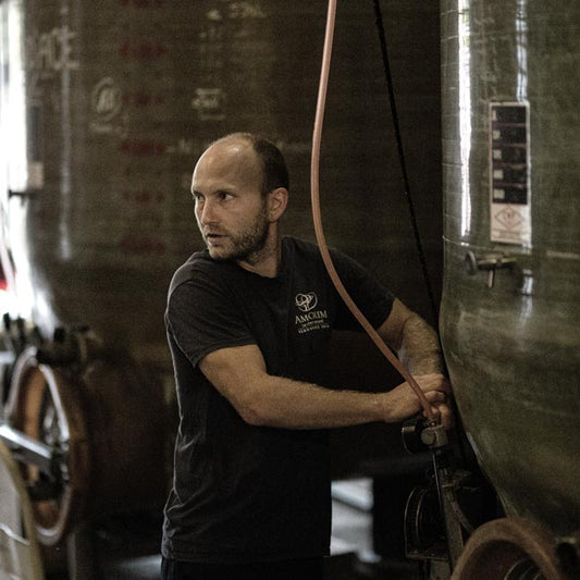 Corbières: Ein vielfältiges Terroir und kraftvolle Weine