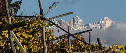 Dolomit