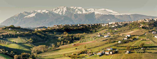 Trebbiano Weißwein aus den Abruzzen