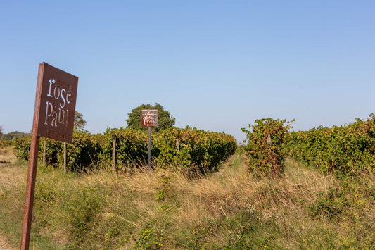 Das Malepère: Wein vom schlechten Stein