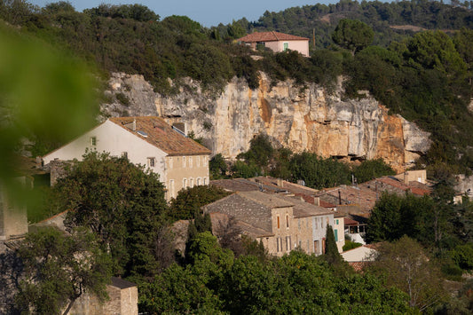 Muscat a petits grains
