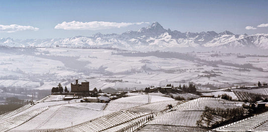 Piemont Weine. Nebbiolo, Barbera, Dolcetto und Arneis