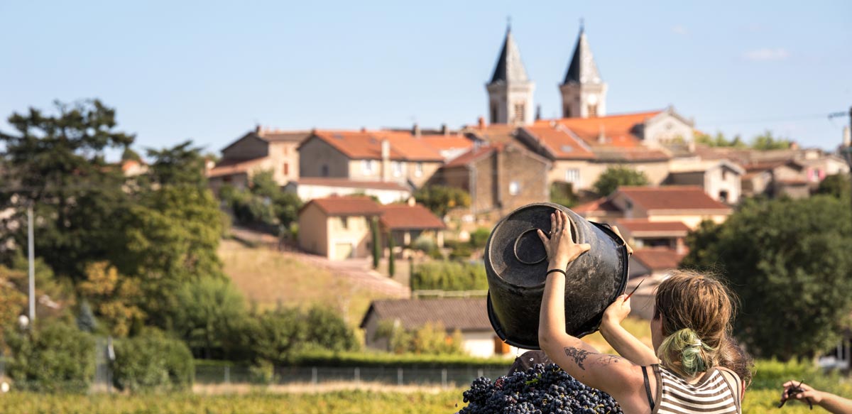 Familie Renard in Morgon im Beaujolais