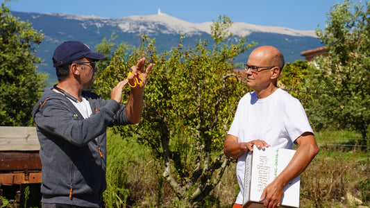 Weine der Domaine Les Hautes Briguières