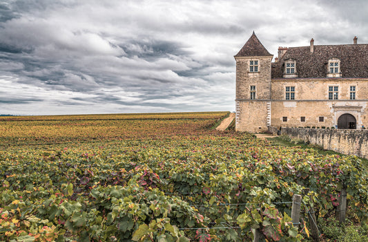 Weine aus dem Burgund