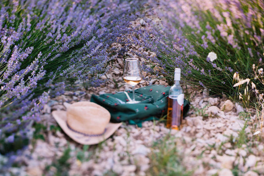 Rosé Weine aus der Provence