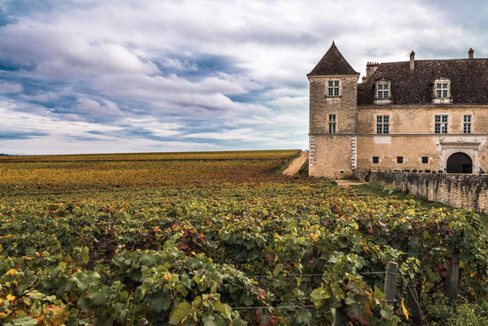 Wein aus dem Burgund