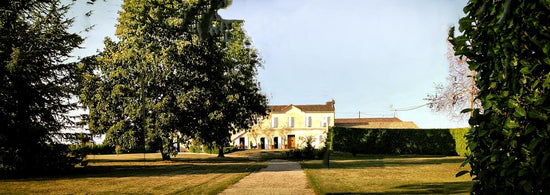 Wein mit Seele aus Saint Émilion: