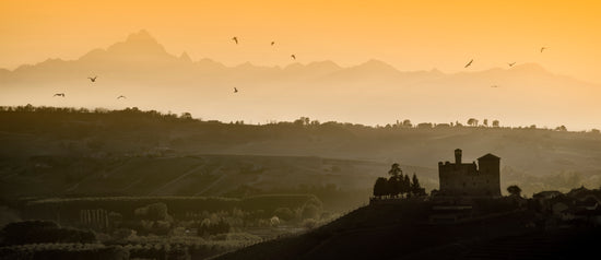 Dolcetto aus den besten Lagen, Nebbiolo, der große Namen vergessen läßt: